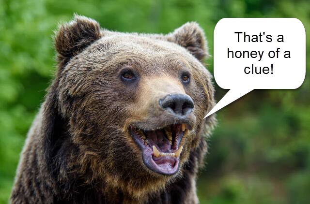 HaHa bear.jpg