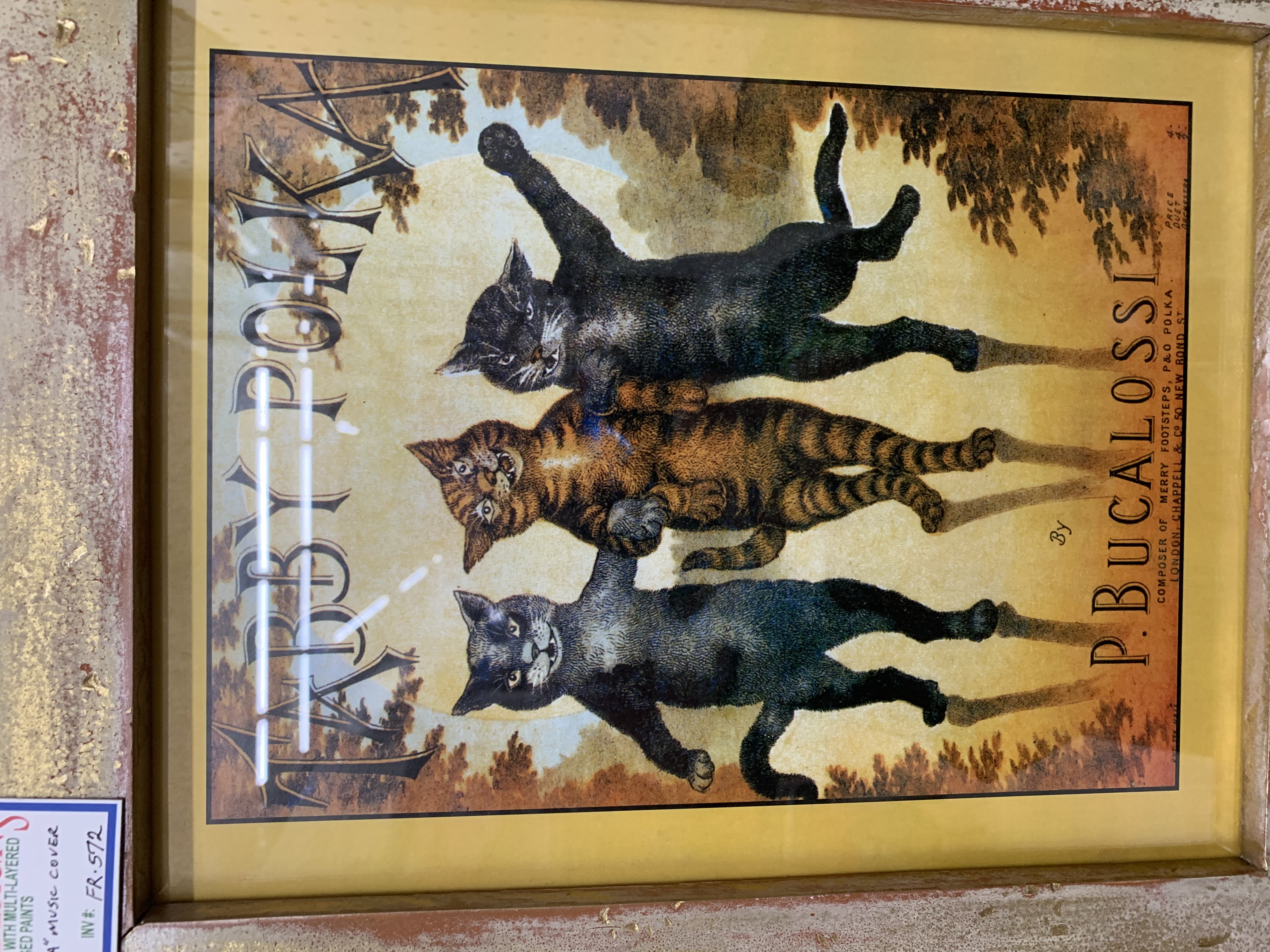 E09D71AF-751F-4C00-B3A6-7F7F36510DC7.jpeg