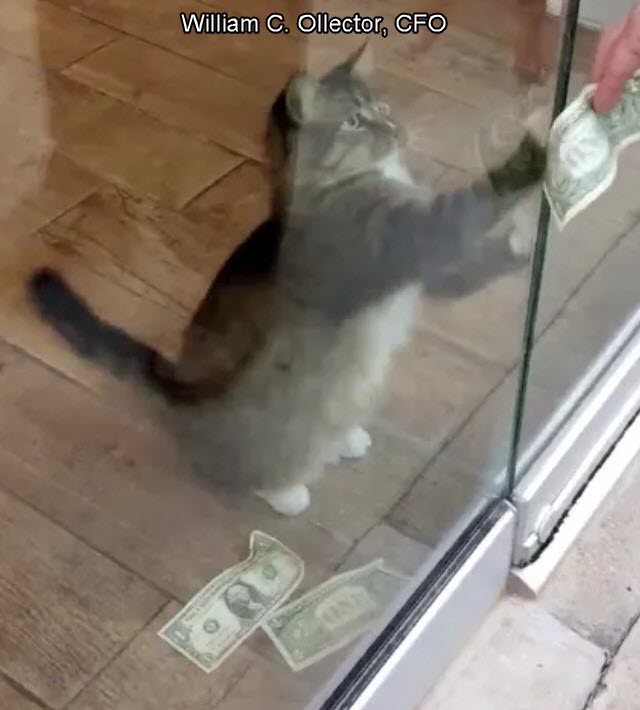CashNip Kitty.jpg