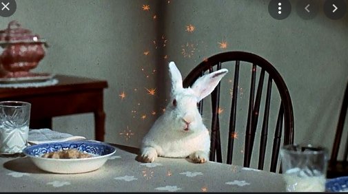Capturebunnyatbreakfast.PNG