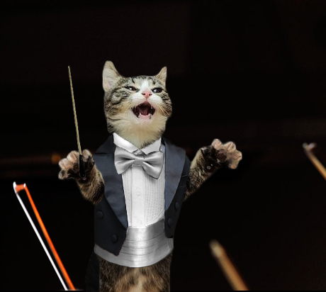 cat conductor.jpg