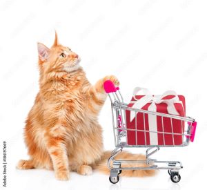 Cat shopper.jpg