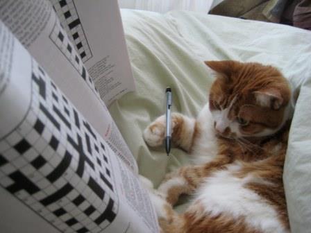cat and crossword.jpg