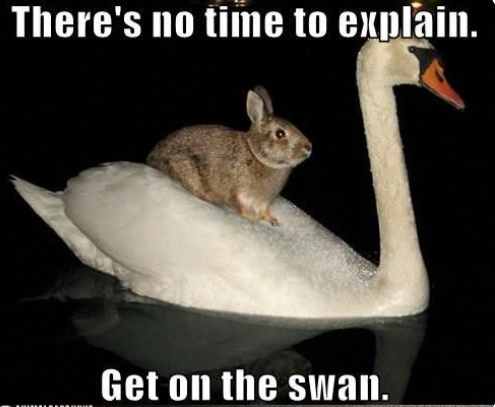 Capturebunswan.PNG
