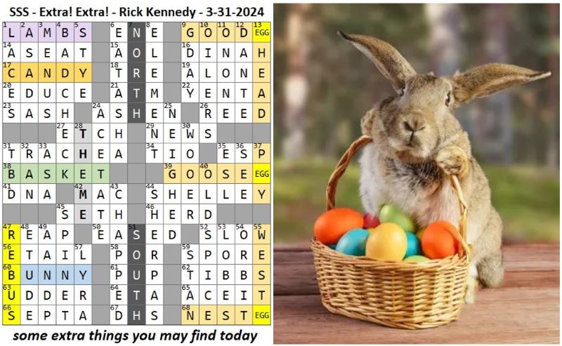 Reveal grid and Bunny2.jpg