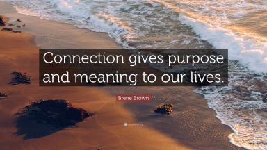 2604846-Bren-Brown-Quote-Connection-gives-purpose-and-meaning-to-our-lives (1).jpg