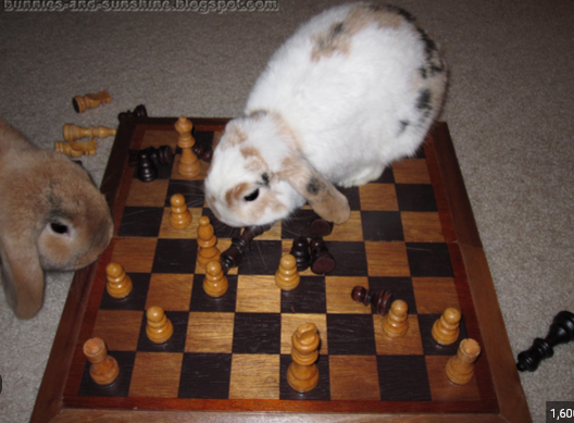 Untitledbunchess.png