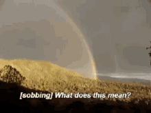 IMG_9289.gif
