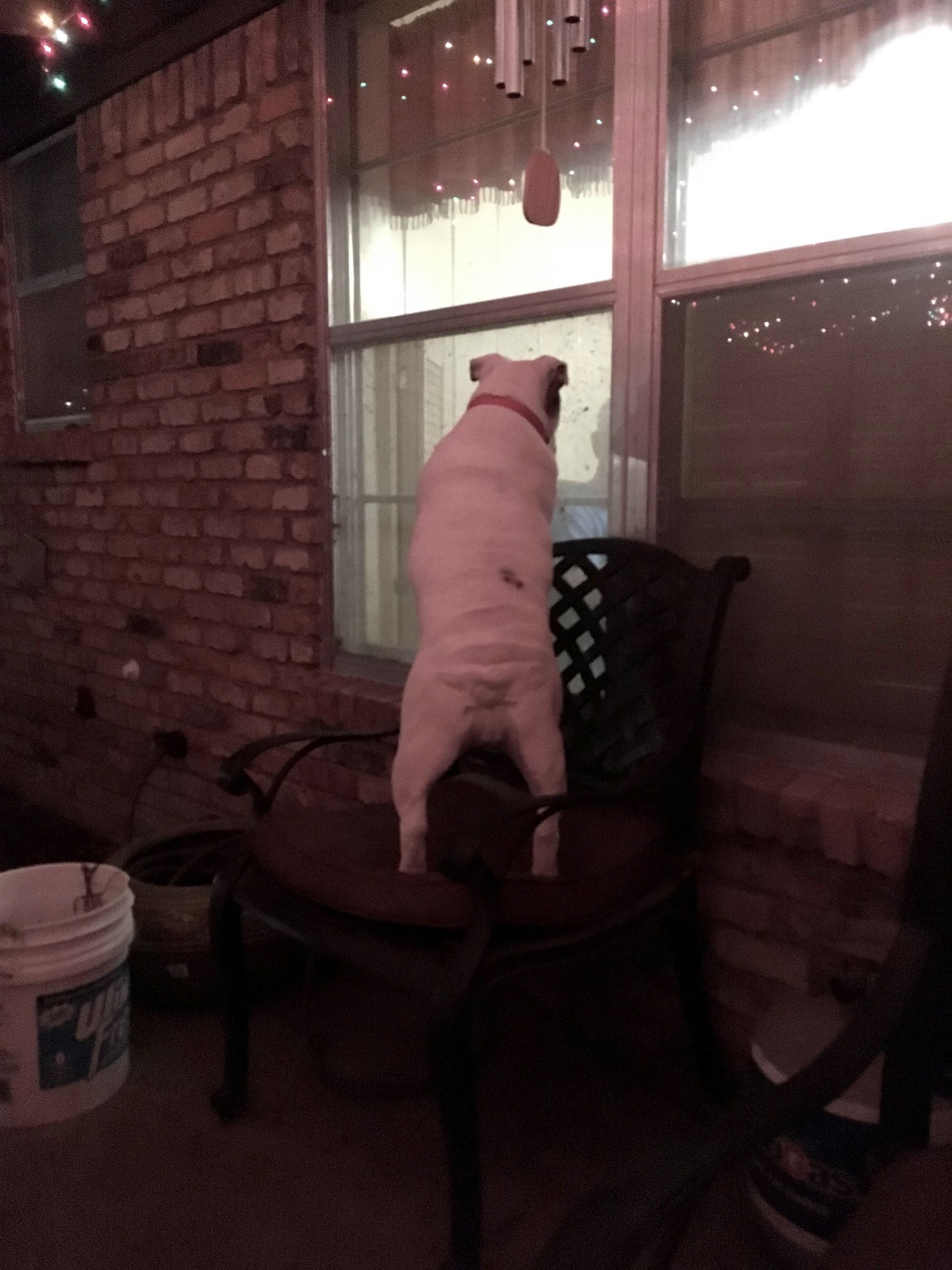 maggie creeping_n.jpg