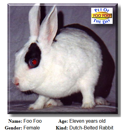 zzfoofoo.png