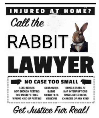 Untitledbunlawyer.png
