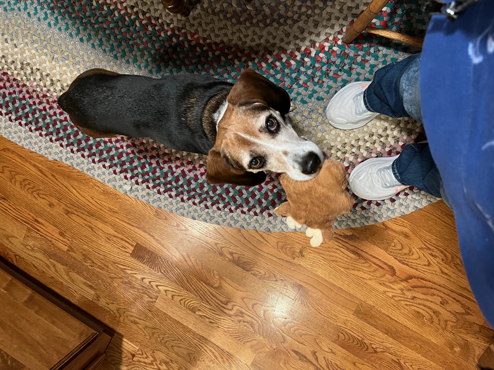 Griffin 12.27.24.jpg