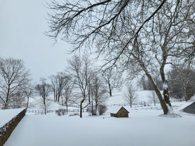 snow.jpg