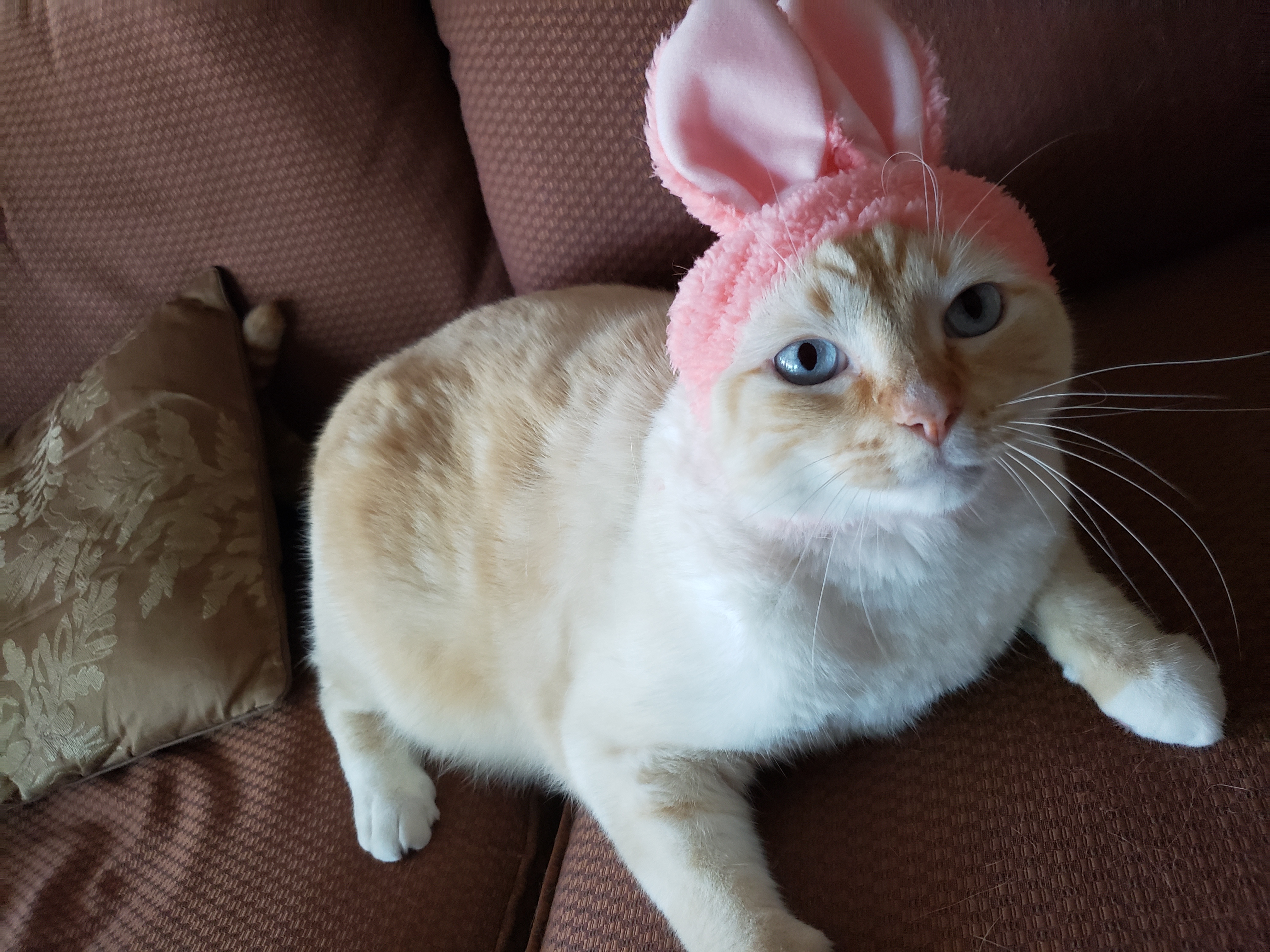 Happy Easter