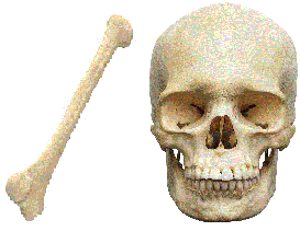 BONEHEAD.gif