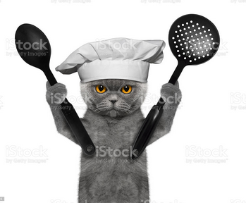 Capturespatulacat.PNG