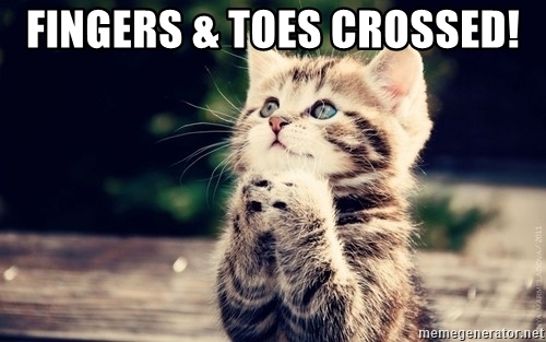 CATfingers-toes-crossed.jpg
