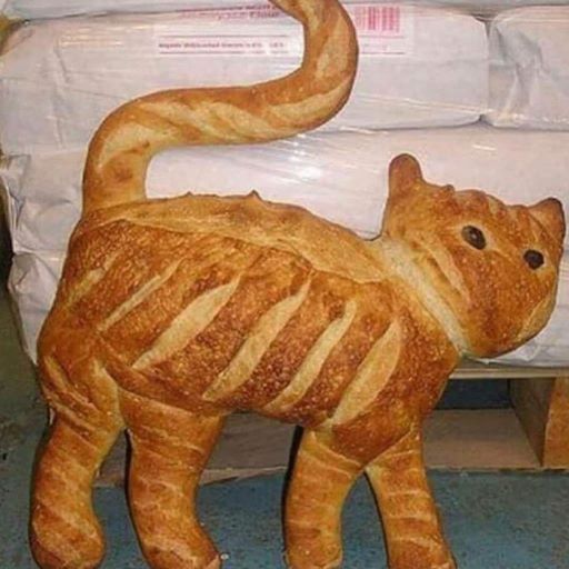 baguette cat.jpg
