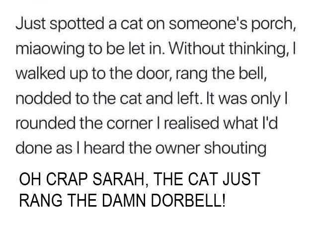 Cat rang the doorbell.jpg