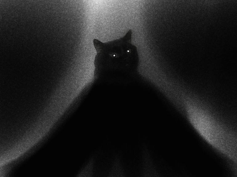 Ghost Cat 2.jpg
