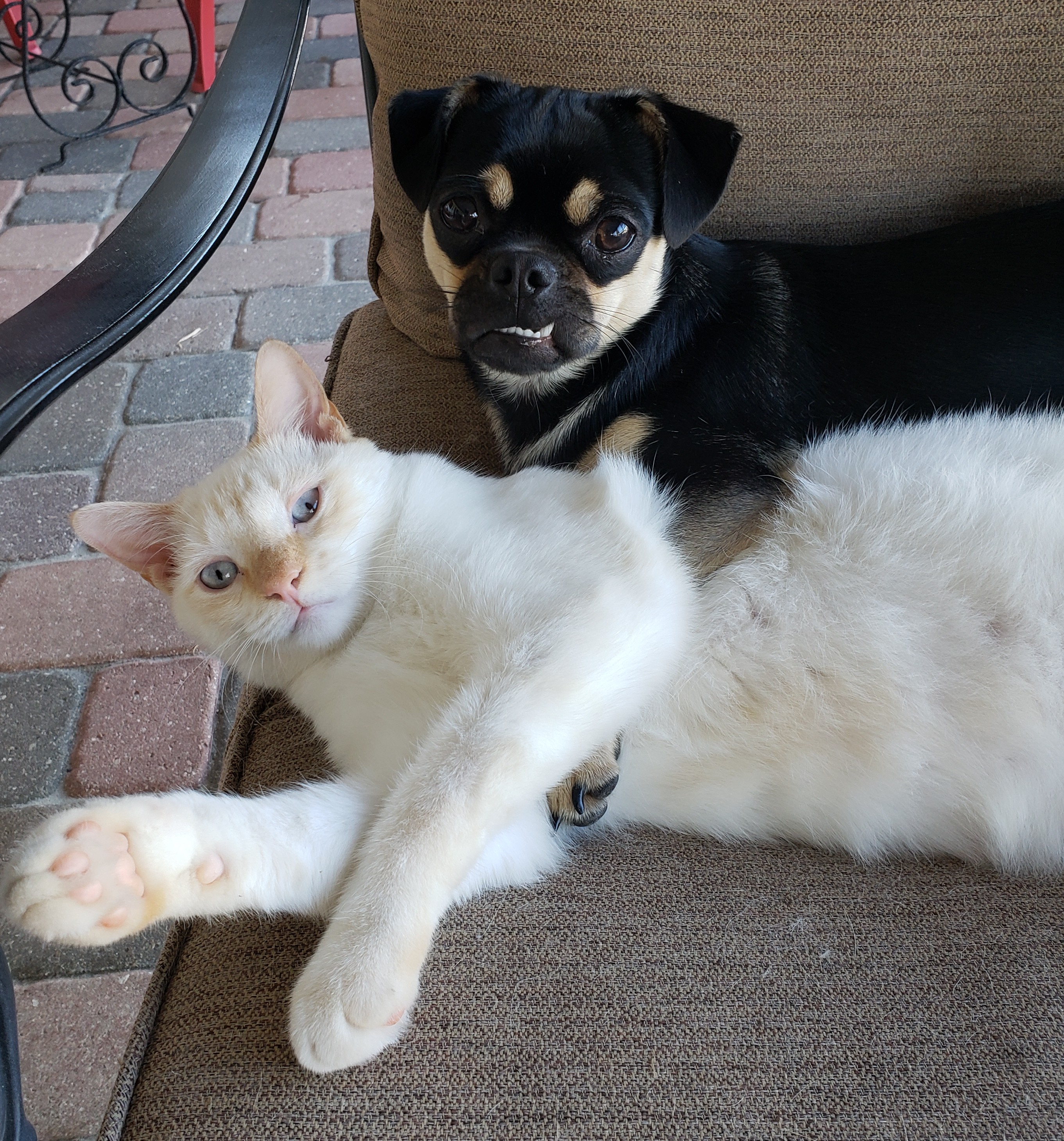 Dora and Benny