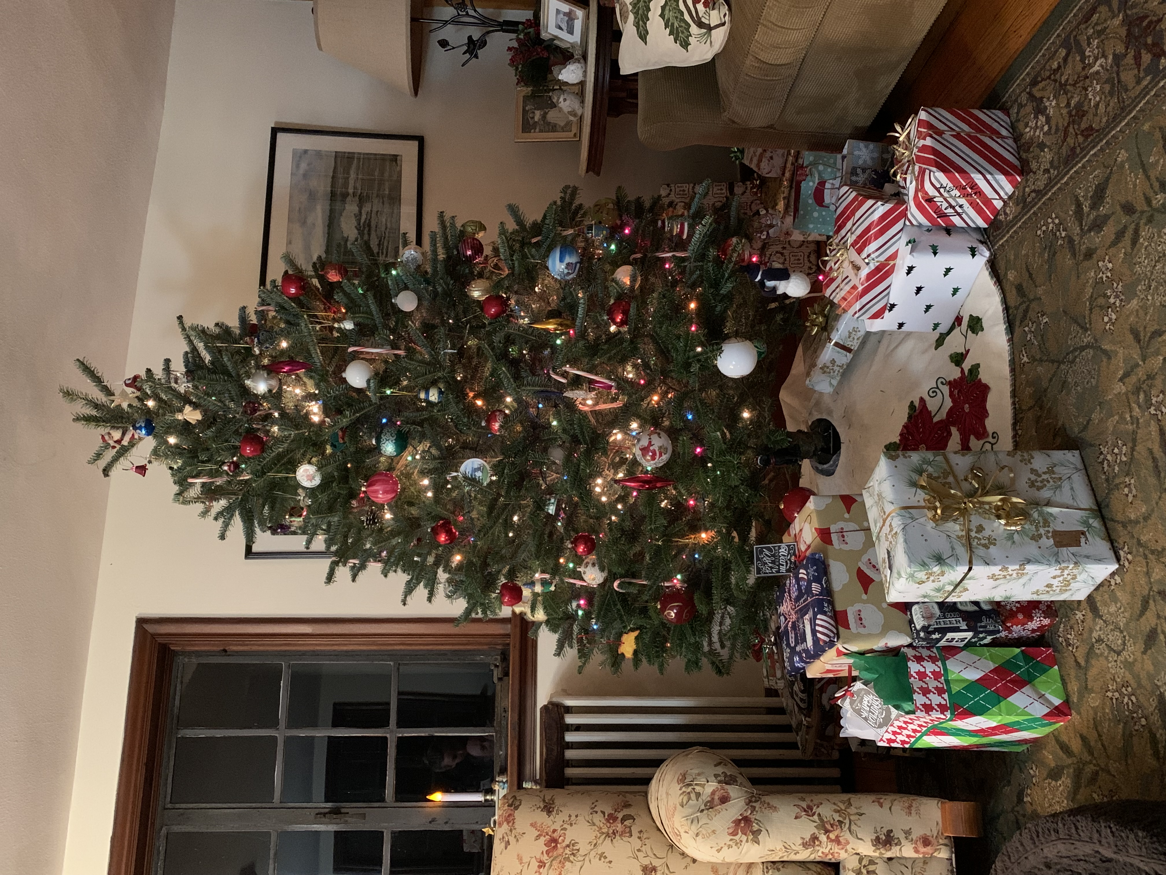 tree.jpg