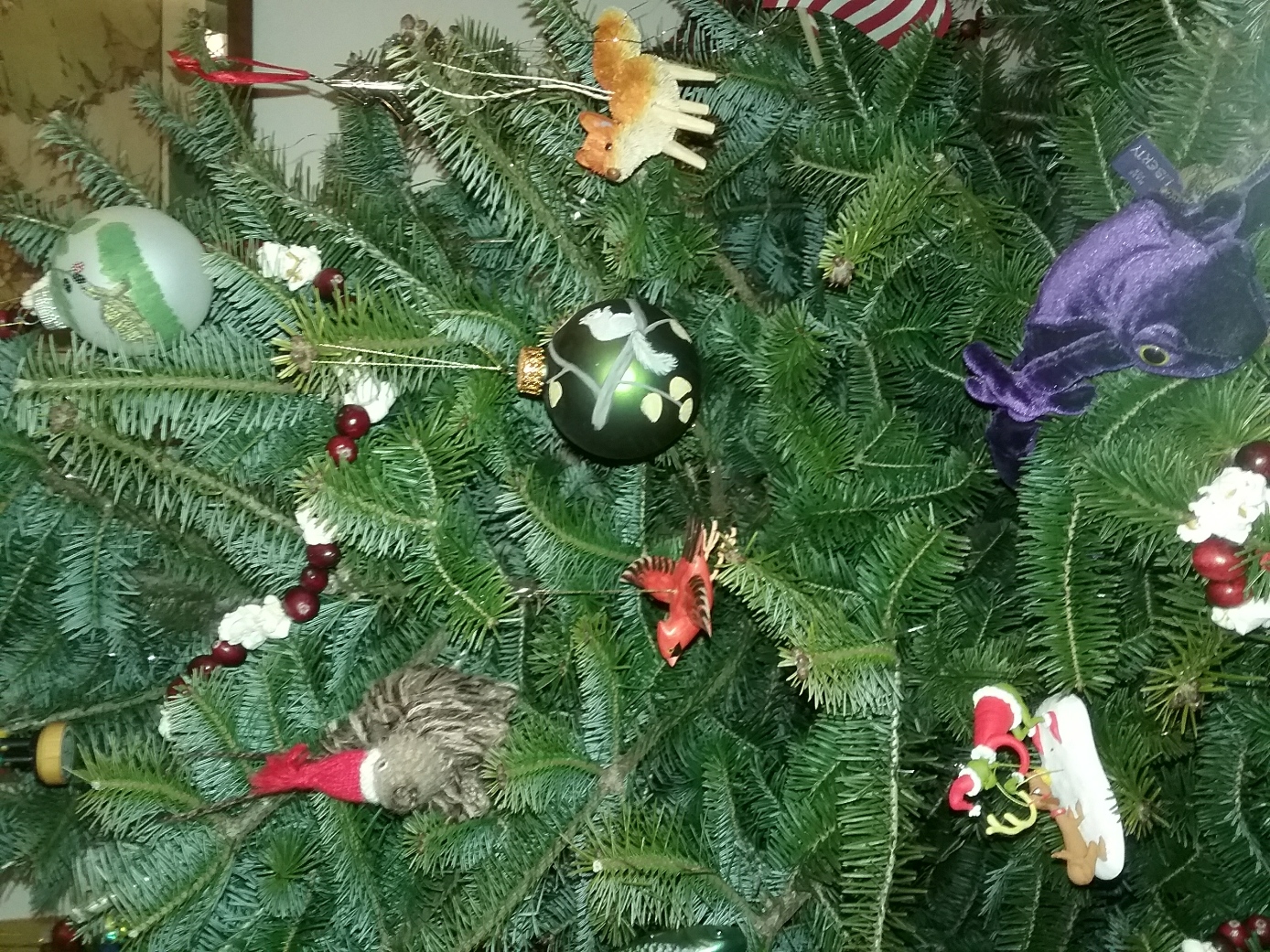 xmas.jpg