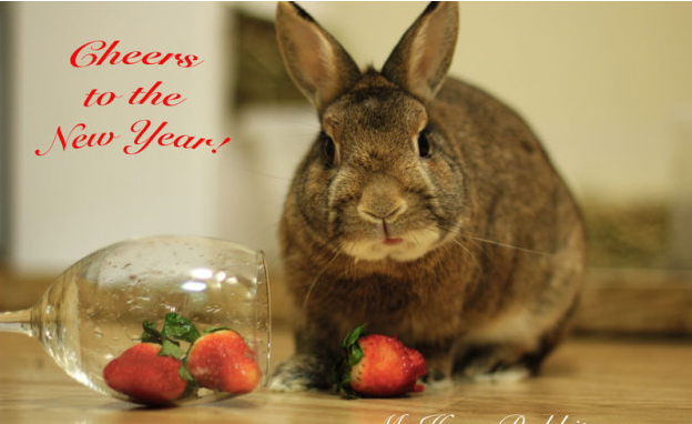 Capturenewyearbun.PNG