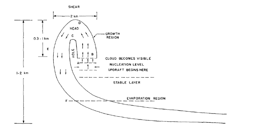 Conceptual-model-of-cirrus-uncinus-cloud-in-positive-wind-shear.png