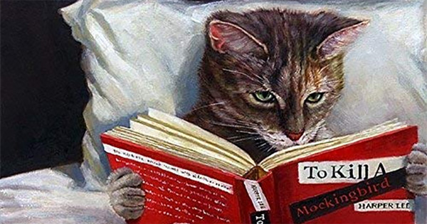 cat-reading.jpg