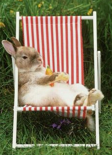 Capturebyocbun.PNG