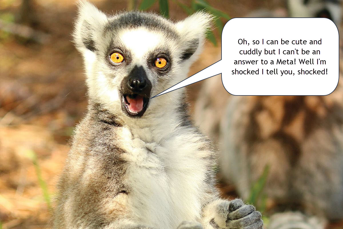 Shocked Lemur.jpg