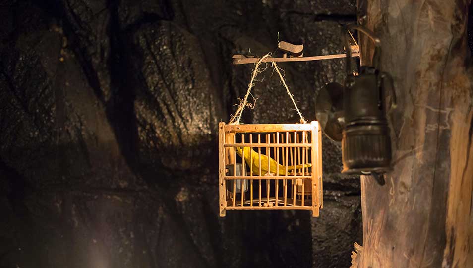 Canary-in-a-Coal-Mine_No-Printed-Materials-wjpg.jpg