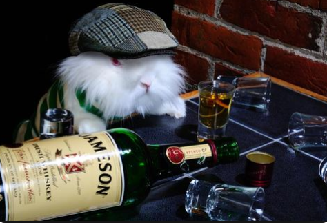 Capturewhiskeybun.PNG
