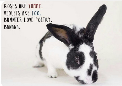 Capturepoetbun.PNG