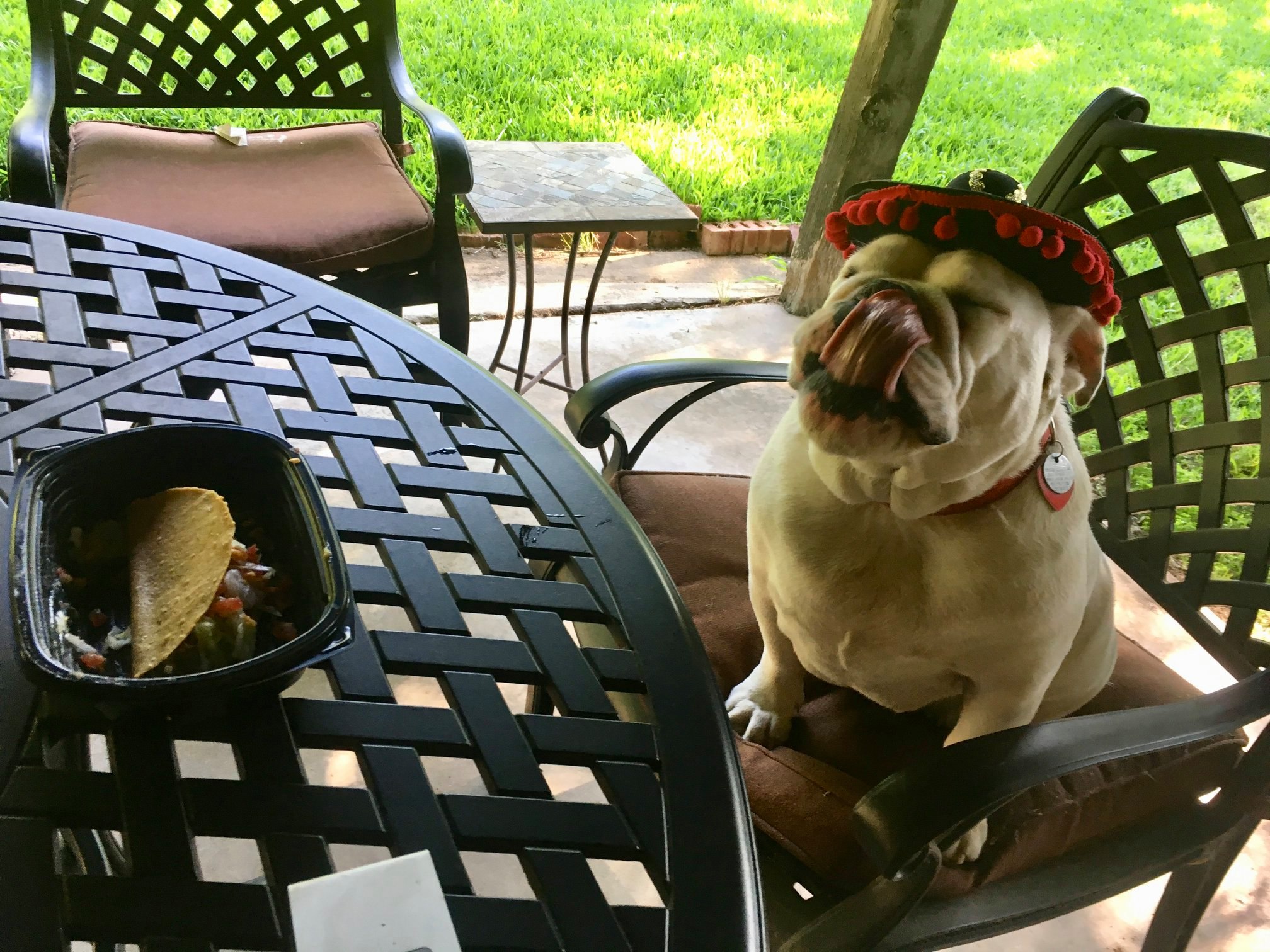 cincodemaio.jpg