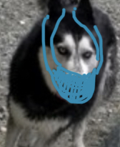 03D71403-2F36-43EC-B5F0-518C249EC8EB.jpeg