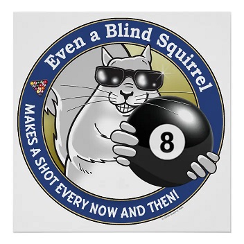 blind_squirrel_pool_poster.jpg