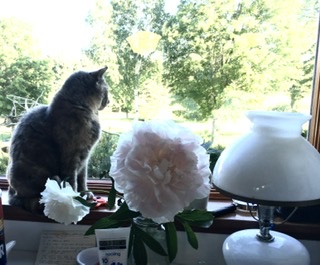 AF076182-0D28-4783-8567-442407238D7A.jpeg