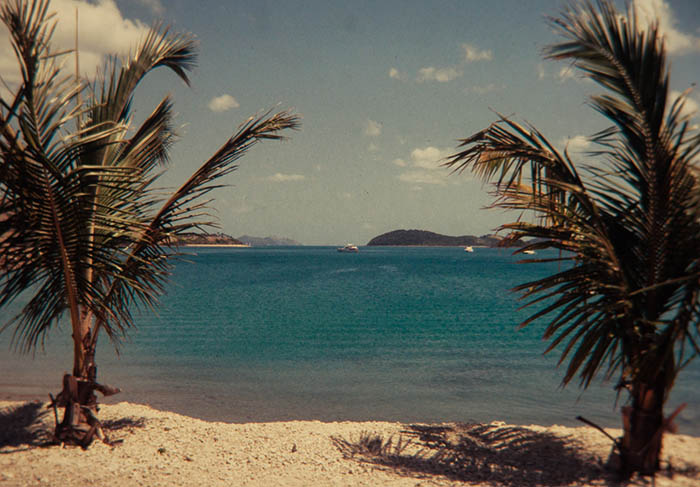 shore.jpg