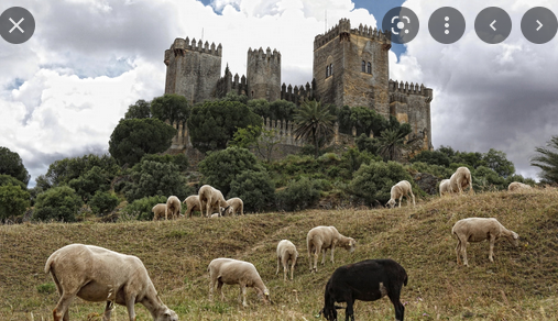 Capturecastlelivestock.PNG