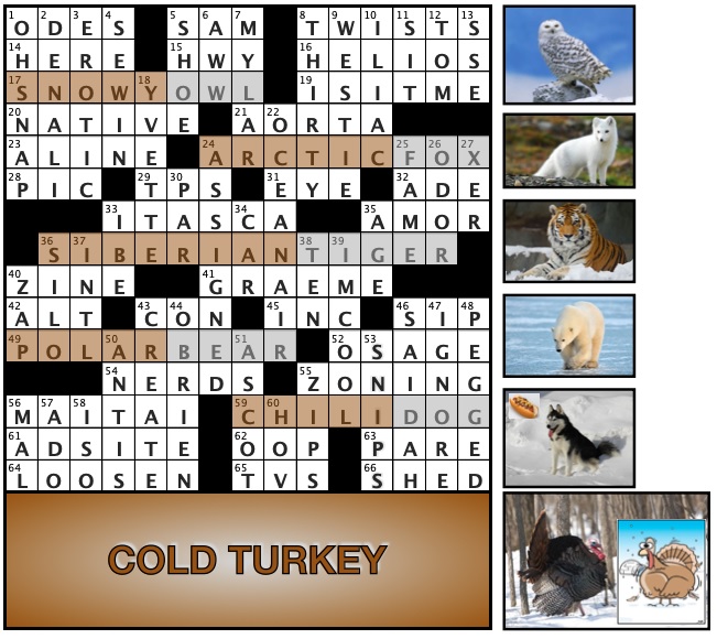 Cold Turkey.jpg