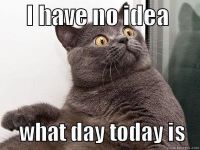 what day is it Dec22.jpg