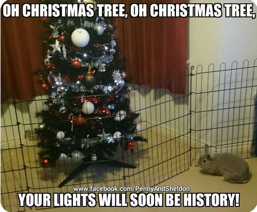 Capturebunxmastree.PNG