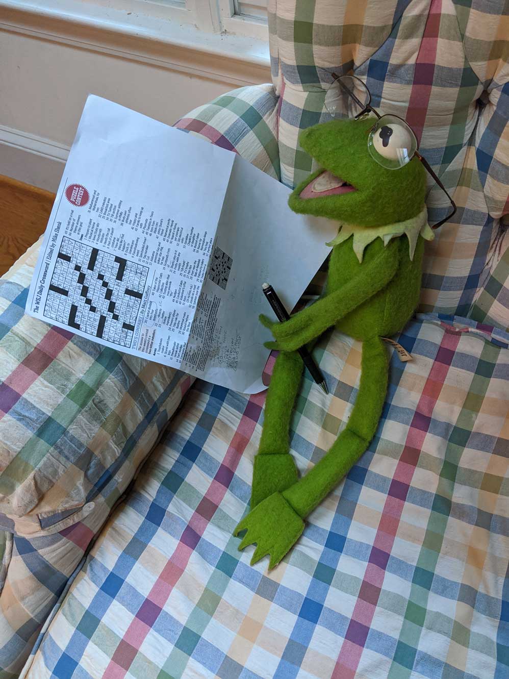 kermit-does-the-meta-small.jpg