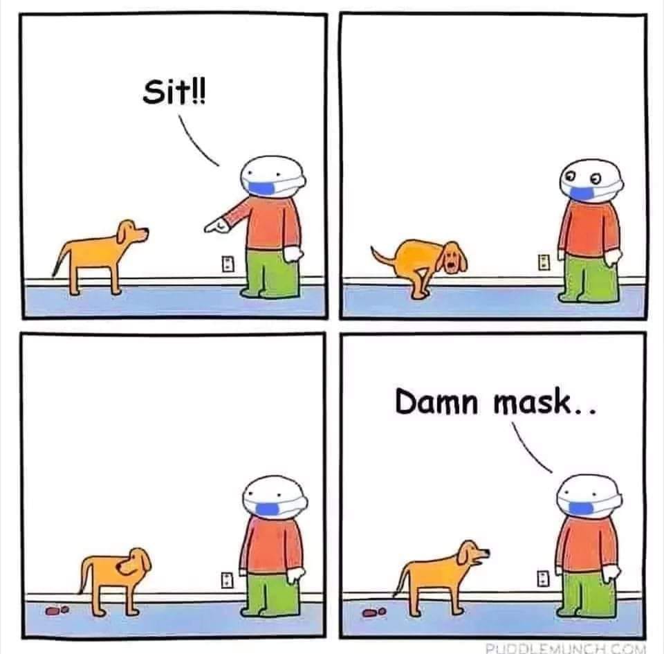 SIT Darn mask.jpg