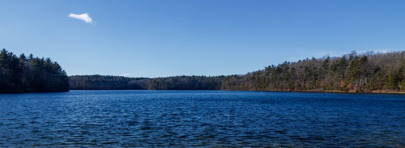 Robert Stevens 24Feb03  7D Mark II 2391-HDR Lake banner 800x300.jpg